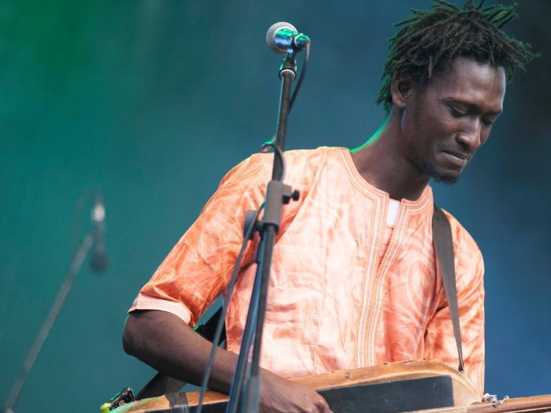 Bassekou Kouyate & Ngoni Ba