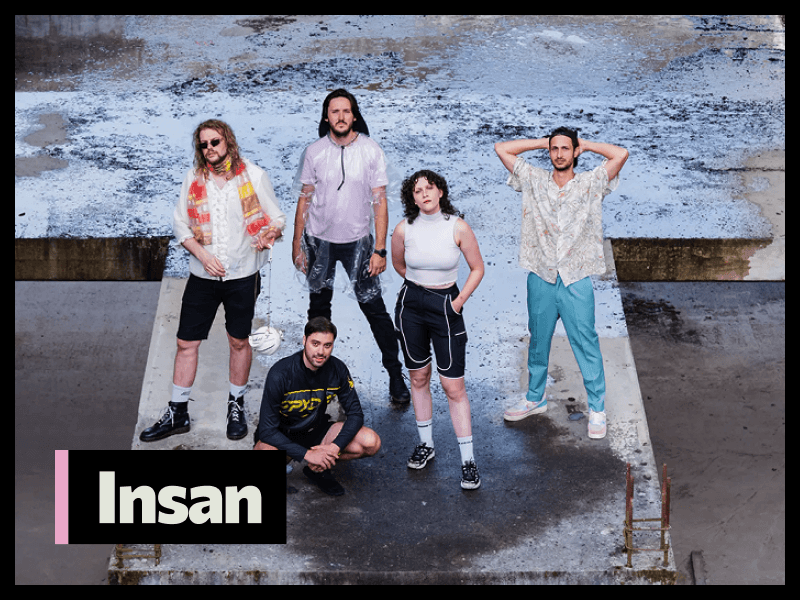 Insan