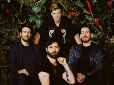 Foals